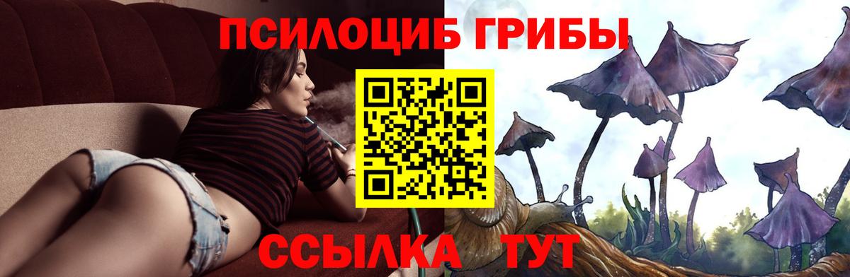 Псилоцибиновые грибы Cubensis Верхний Уфалей