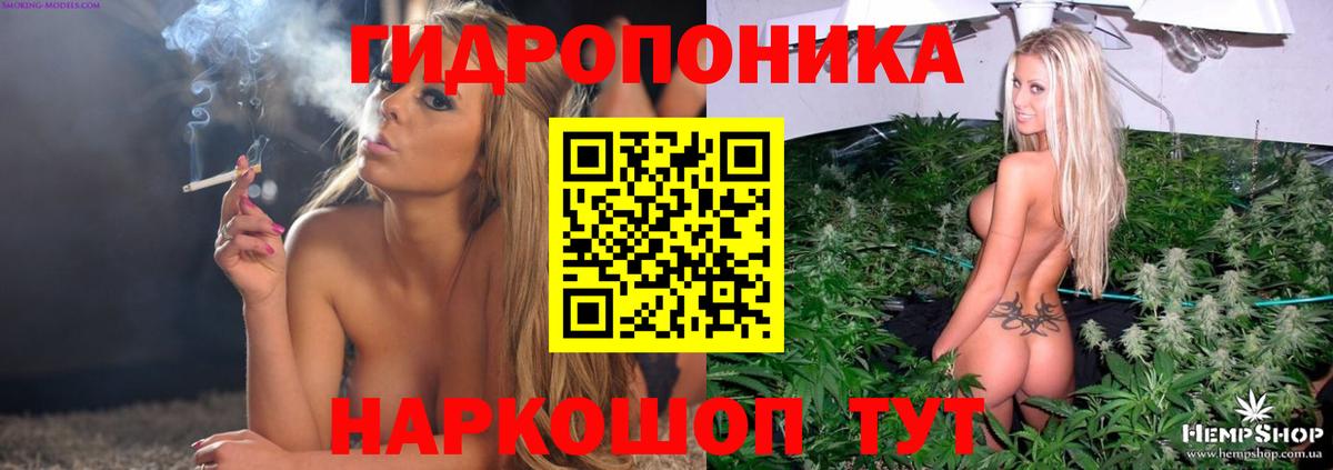 Каннабис план  Бошки Шишки THC 21%  Марихуана планчик  Верхний Уфалей  Вход с VPN  Бошки марихуана MAZAR 